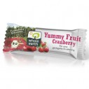 Yummy Fruit Cranberry van Whole Earth